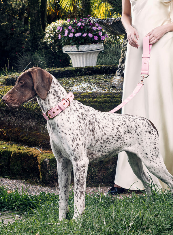Collier Habsburgo Tizu Rosa