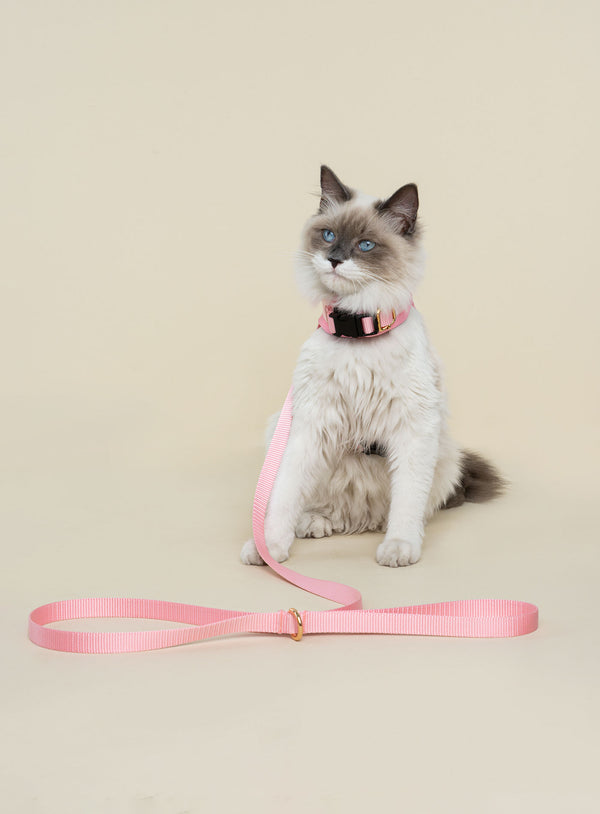 Corso Habsburgo Petit Miuth Rosa