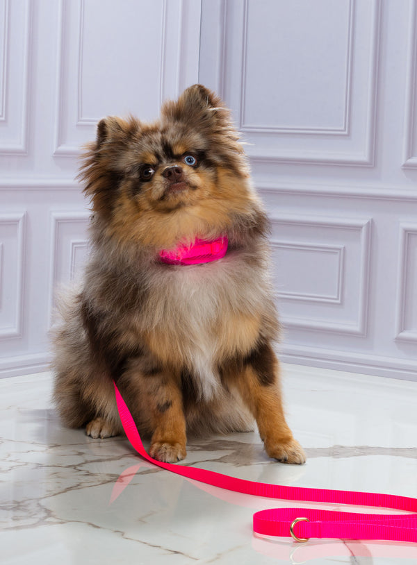 Corso Cristal Tizu Fucsia