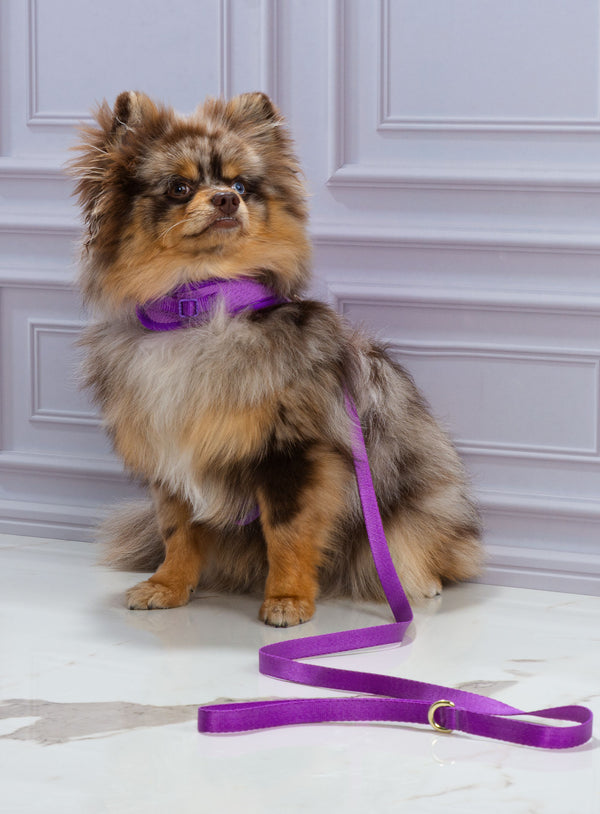 Corso Cristal Tizu Morado