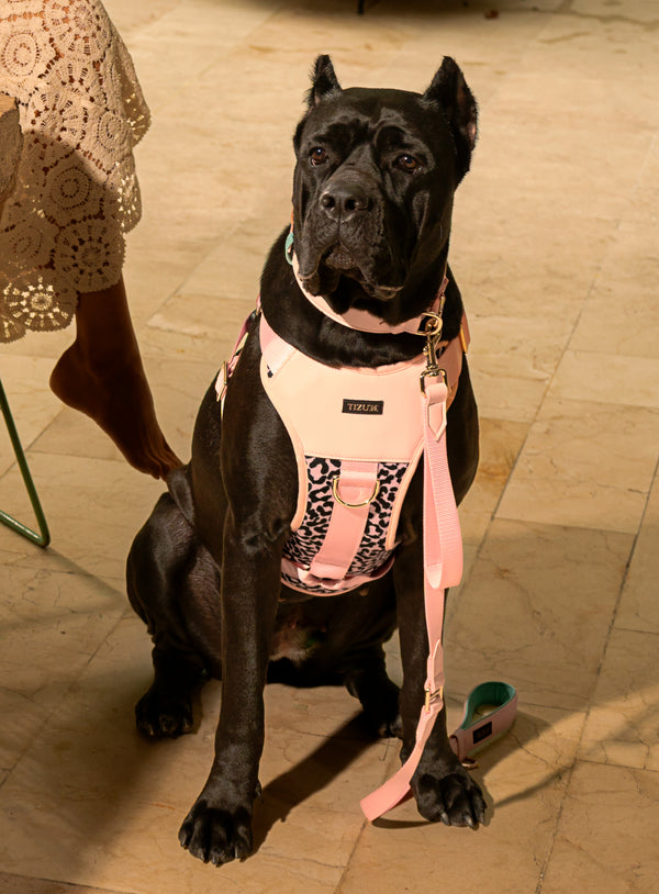 Collier Tizu Arsa Xl-2Xl