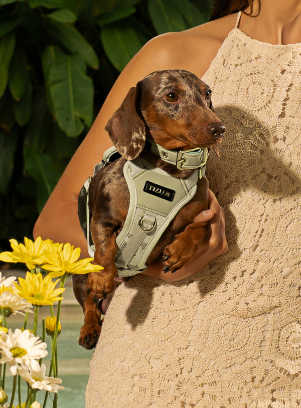 Collier Tizu Arsa Xs-S