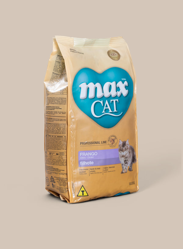 MAX CAT GATITO FILHOTE