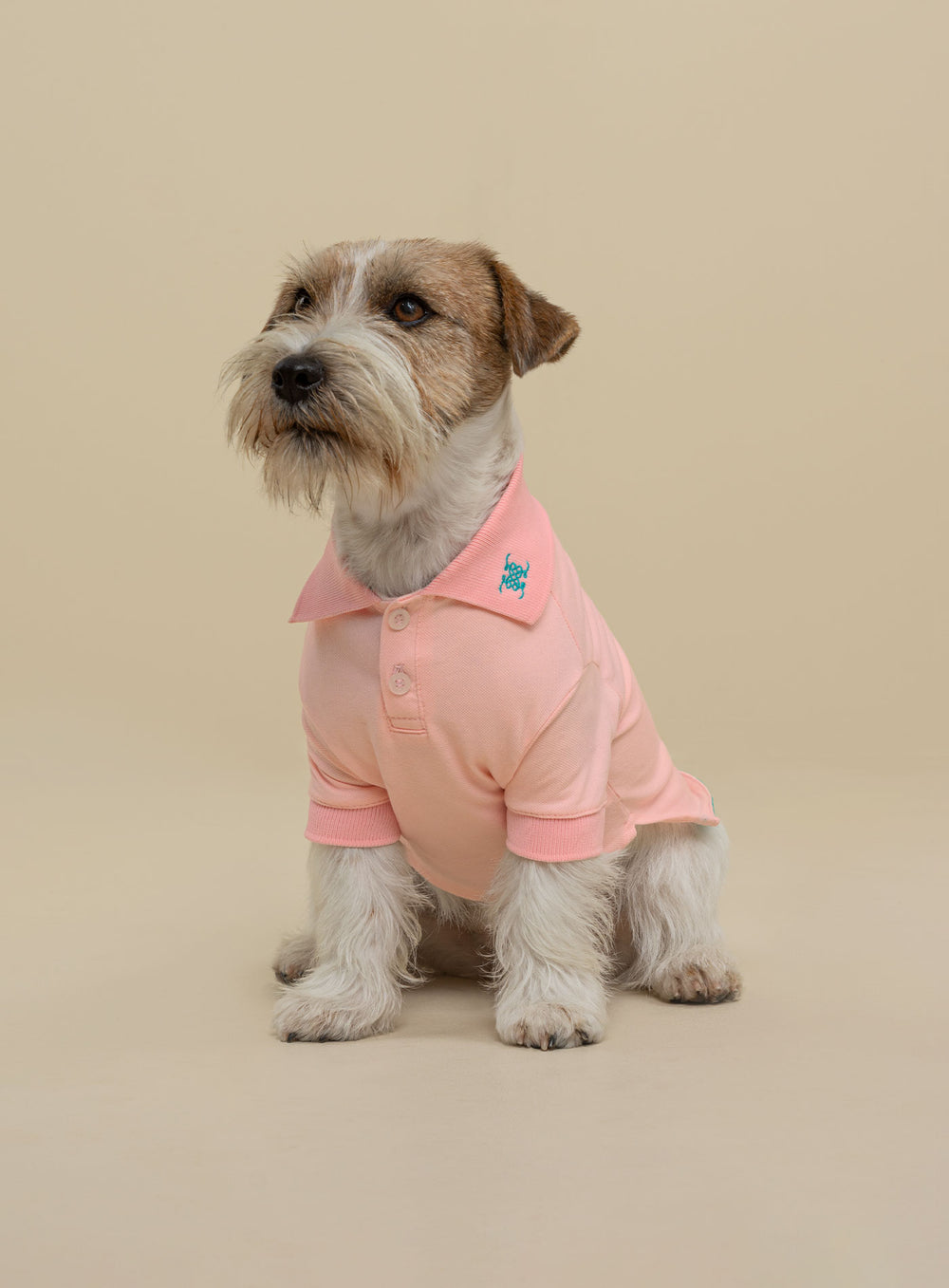 Nueva Colección Para Perro TIZU Takumi | TIZU – tizu.co