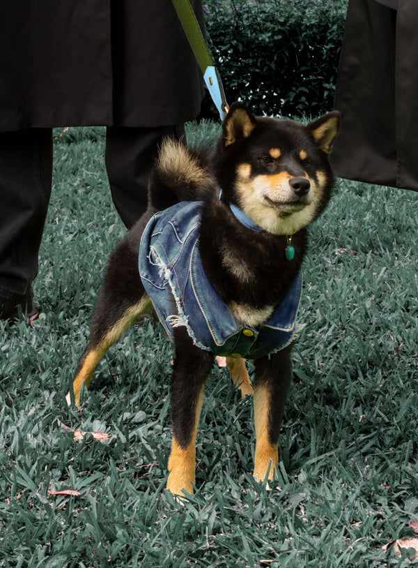 CHALECO TOKIO