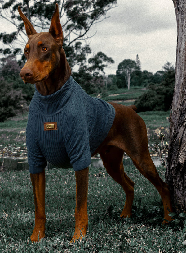 SWEATER TOKIO TIZU