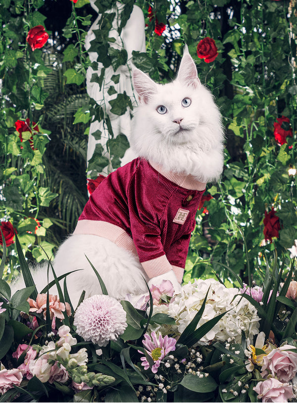 Sweater Habsburgo Miuth Rosa
