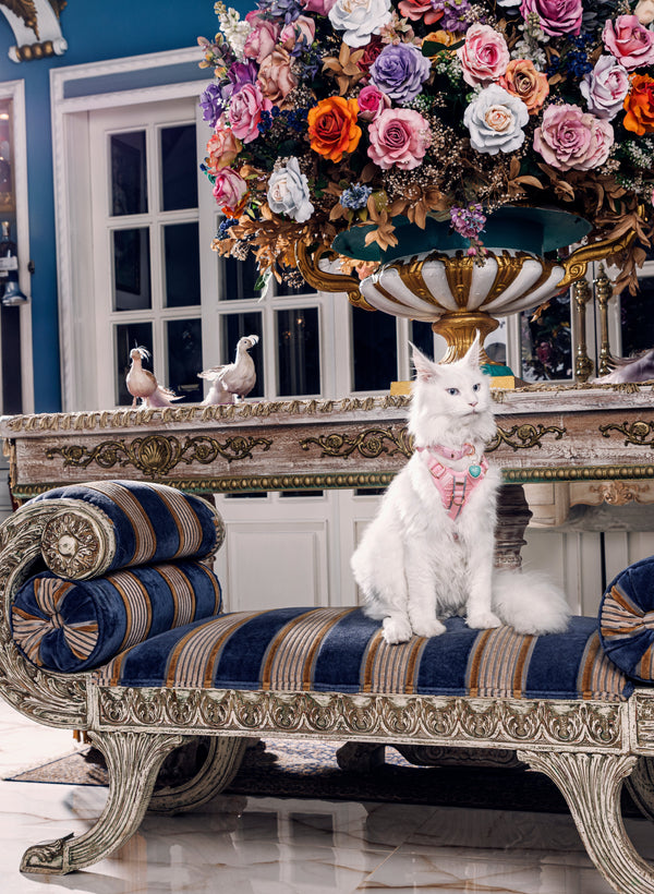 Collier Habsburgo Miuth Rosa