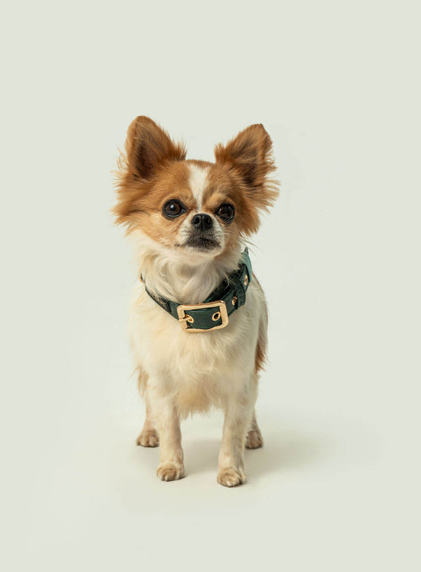 Collier Tizu Rilievo XS-S