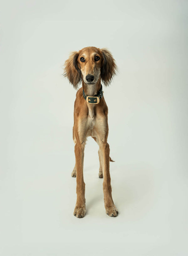 Collier Tizu Rilievo M-L