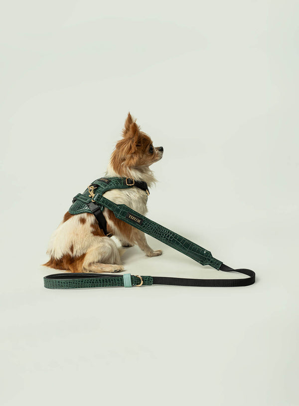 Correa Tizu Rilievo Pequeña