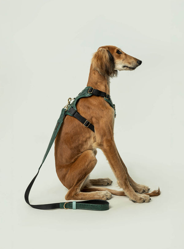 Correa Tizu Rilievo Grande