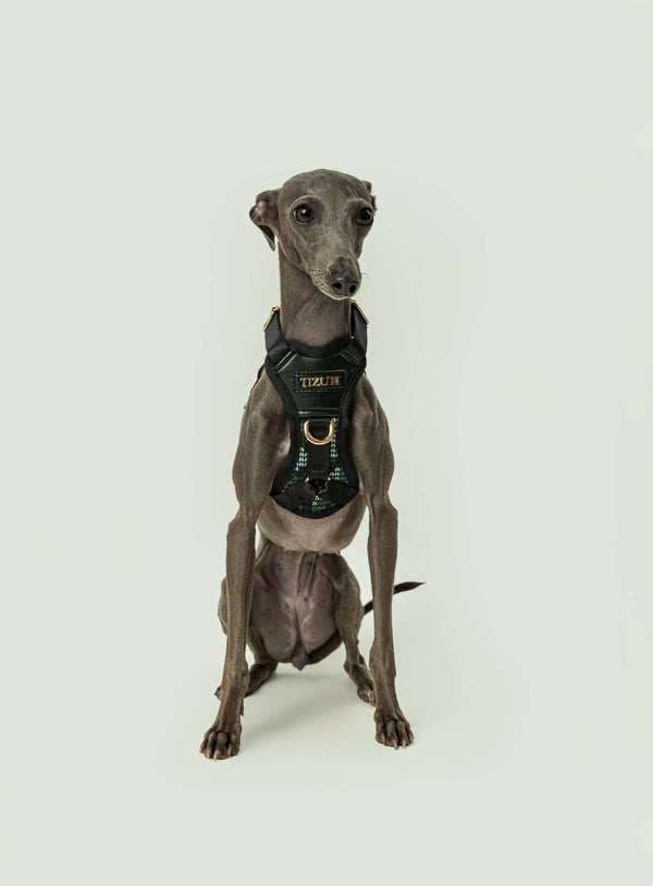 Corso Tizu Arsa Xs-S