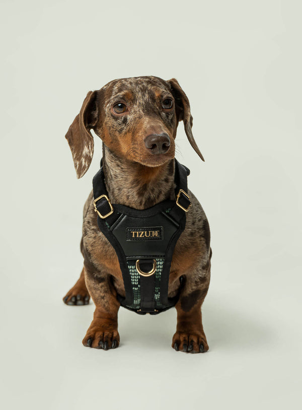 Corso Tizu Arsa 3Xs-2Xs