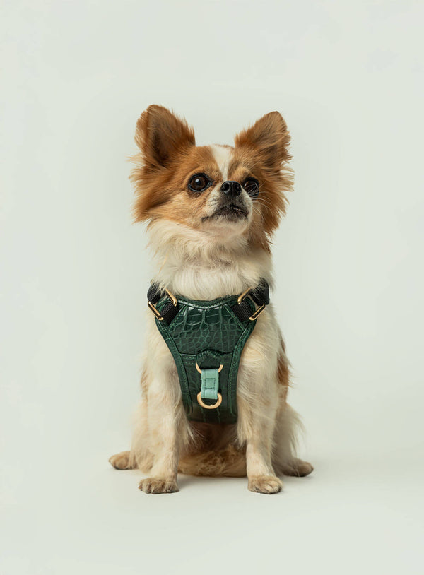 Corso Tizu Rilievo 3XS-2XS